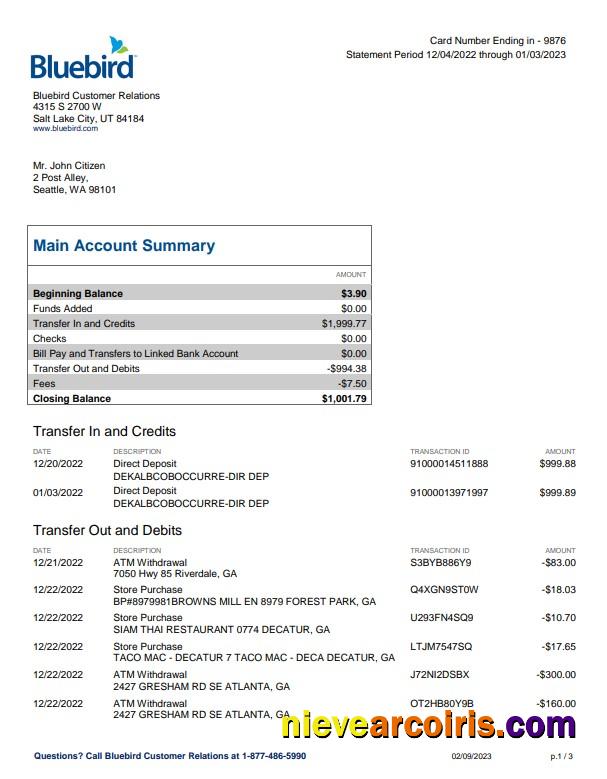 USA Bluebird bank statement Word and PDF, 3 pages